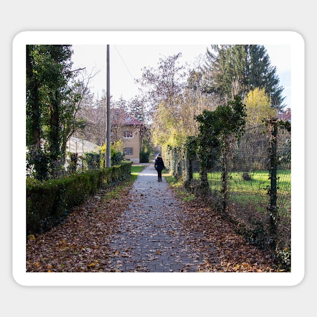 Girl walking in distance in a park on a sunny day Sticker by KargacinArt